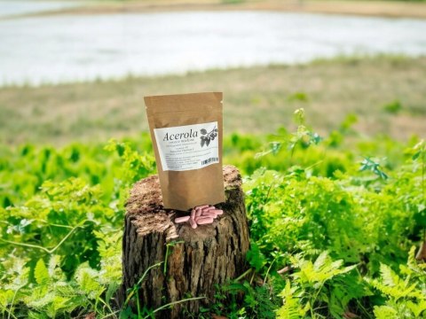 Acerola 100 kapsułek Naturalna witamina C, zapobiega chorobom serca