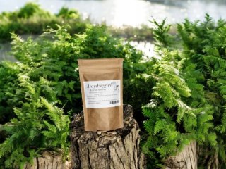 Arcydzięgiel korzeń 100 kapsułek żelatynowych !!!LEPSZE TRAWIENIE!!!