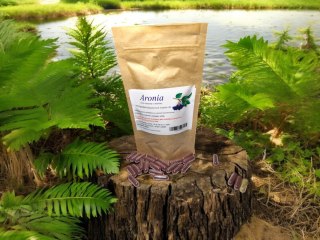 Aronia owoc 100 kap. miażdźyca, nowotwory