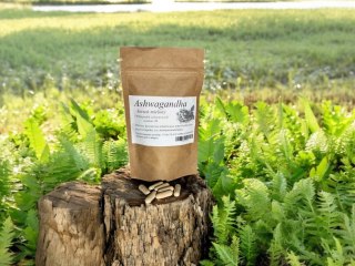 Ashwagandha 100 kap. żeń szeń indyjski, układ nerwowy i immunologiczny