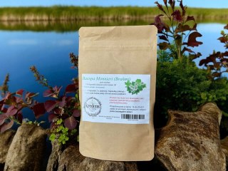 Bacopa Monnieri ( Brahmi ) 100 kapsułek żelatynowych POPRAWA PAMIĘCI