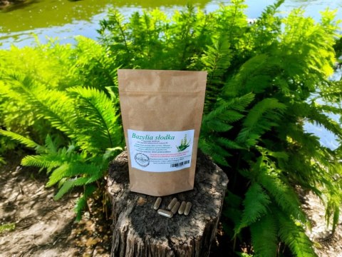Bazylia słodka 100 kapsułek żelatynowych NORMALIZUJE POZIOM CUKRU WE KRWI