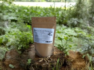 Budziszek cuchnący 100 kap. na wątrobę i układ trawienny