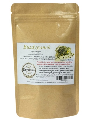 Buzdyganek 100 kapsułek