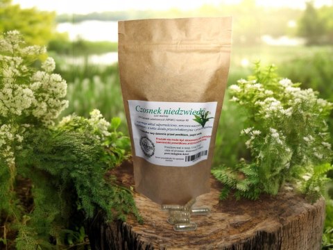 Czosnek niedźwiedzi 100 kapsułek żelatynowych PRZECIWZAPALNE