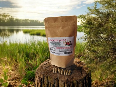 Diabelski pazur 100 kapsułek żelatynowych PRZECIWZAPALNE, PRZECIWBÓLOWE