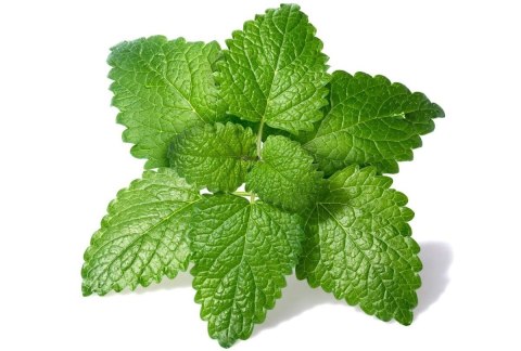 Dobry sen 60 kapsułek koper włoski, melisa, chmiel,kozłek lekarski w jednym