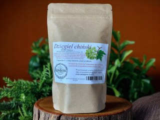 Dzięgiel chiński 100kapsułek żelatynowychDLA UKŁDU MOCZOWO-PŁCIOWEGO KOBIET