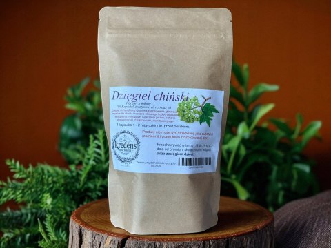 Dzięgiel chiński 100kapsułek żelatynowychDLA UKŁDU MOCZOWO-PŁCIOWEGO KOBIET