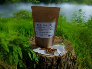 Dzika Róża 100 kapsułek żelatynowych