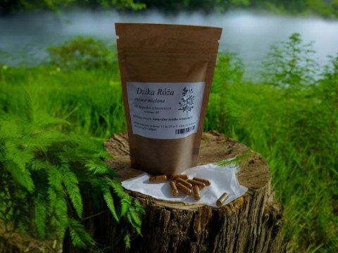 Dzika Róża 100 kapsułek żelatynowych