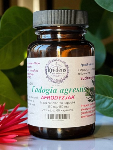 Fadogia agrestis 60 kapsułek 490 mg żelatynowych AFRODYZJAK