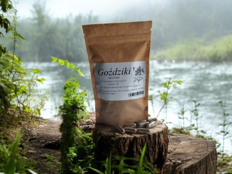 GOŹDZIK 100 KAPSUŁEK PASOŻYTY TRAWIENIE WIRUSY ANTYOKSYDANTY STANY ZAPALNE