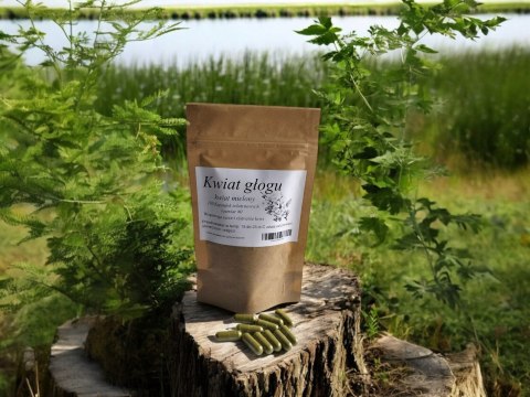 Głogu kwiat 100 kapsułek poprawa krążenia, choroby serca, nadciśnienie.