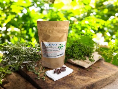 Gotu kola 100 kap. poprawia pamięć i koncentrację