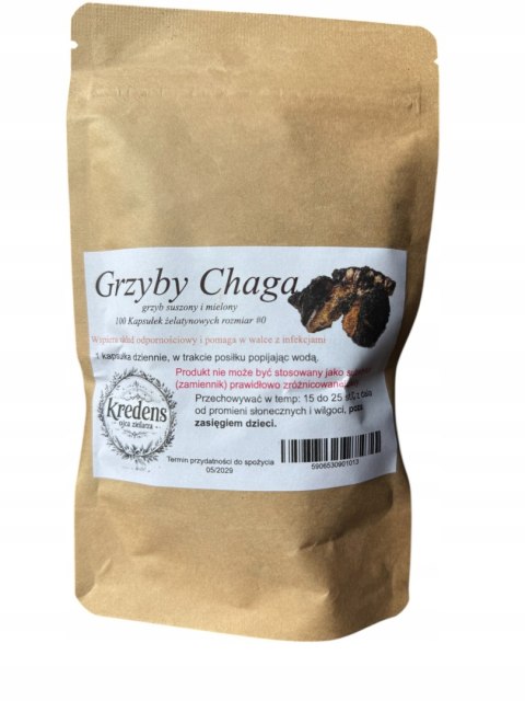 Grzyb Chaga 100 kap. przeciwnowotworowe, wzmacnia odporność.