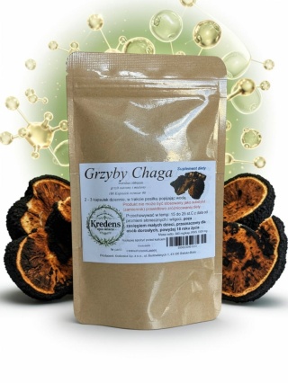 Grzyb Chaga 100 kapsułek