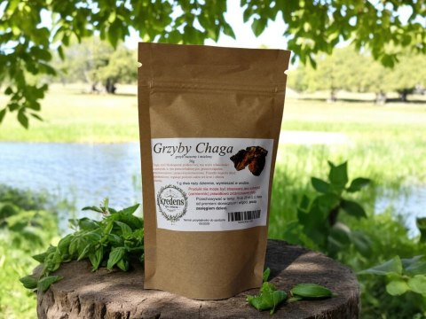Grzyb Chaga mielony 50 g.. przeciwnowotworowe, wzmacnia odporność.