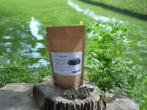 Grzyb Reishi w kapsułkach żelatynowych 100 szt !!!WITALNOŚĆ!!!