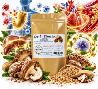 Grzyb Shiitake 100 Kapsułek | Naturalny Skład