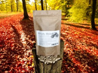 Grzyb shiitake 100 kap. przeciwnowotworowe, wzmacnia odporność.