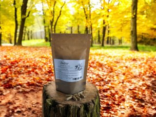 Imbir 100 kap. wpływa korzystnie na trawienie, łagodzi chorobę lokomocyjną