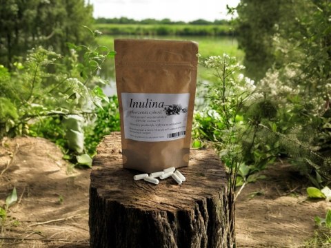 Inulina 100 kapsułek !!! w pełni WEGAŃSKICH!! Naturalny priobiotyk