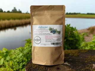 Jałowiec 100 kapsułek żelatynowych MOCZOPĘDNY, ANTYSEPTYCZNE, PRZECIWBÓLOWE