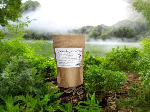 Jeżówka purpurowa 100szt kapsułek przeciw-bakteryjne, wirusowe, grzybiczne