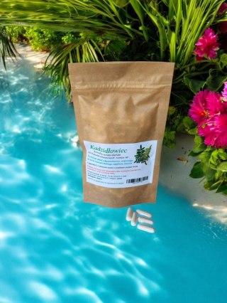 Kadzidłowiec (Boswellia serrata) 100 kap. reumatoidalne zapalenie stawów