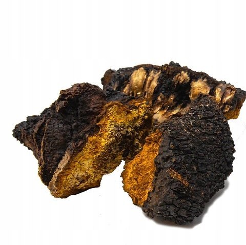 Kompleks oczyszczający z toksyn, wolnych rodników PRZECIWNOWOTWOROM 60 kap