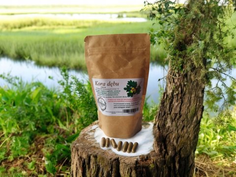 Kora dębu 100 kapsułek żelatynowych PRZECIWZAPALNE, ANTYBAKTERYJNE