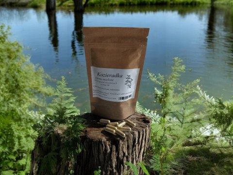 Kozieradka100 kapsułek Cholesterol, trawienia, podniesienie TESTOSTERONU