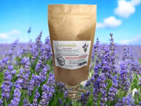 Lawenda 100 kapsułek żelatynowych USPOKAJAJĄCE, PRZECIWBÓLOWE, TRAWIENNE