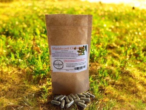 Migdałecznik Chebułowiec 100 kapsułek żelatynowych PRZECIWZAPALNE