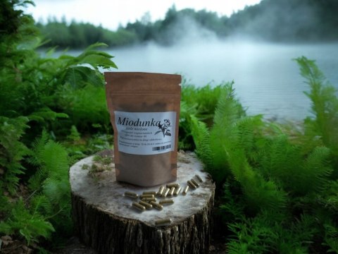 Miodunka 100 kapsułek !!! w pełni WEGAŃSKICH!! na drogi oddechowe