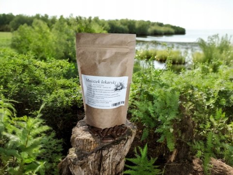 Mniszek lekarski korzeń 100 kap(HPMC) Na problemy z przewdem pokarmowym