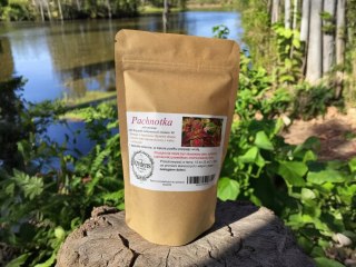 Pachnotka bazyliowata 100 kapsułek żelatynowych NA ALERGII, ODPORNOŚĆ