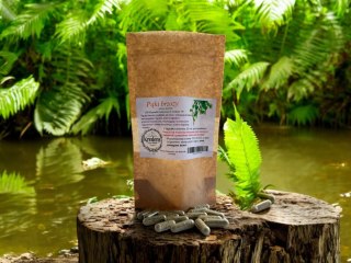 Pąki brzozy 100 kapsułek żelatynowych PRZECIWZAPALNE PRZECIWREUMATYCZNE