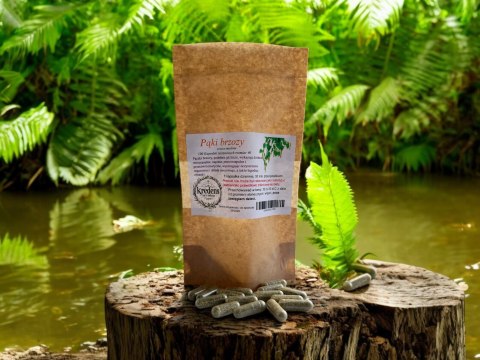 Pąki brzozy 100 kapsułek żelatynowych PRZECIWZAPALNE PRZECIWREUMATYCZNE