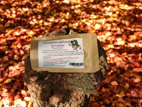 Pelargonia Afrykańska w kap. vege 30 szt przeciw grypowe, łagodzi objawy