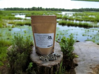 Pelargonia Afrykańska w kapsułkach vege 100 szt przeciw wirusowe, COVID