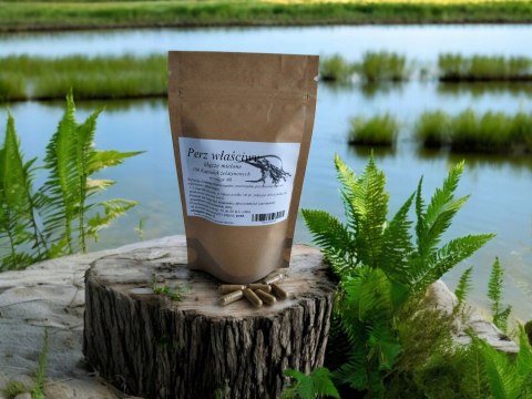 Perz właściwy 100 kap. przeciwmiażdzycowe, moczopędne, przeciwzapalne