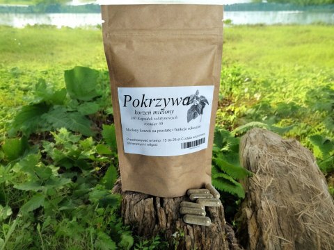 Pokrzywa korzeń 100 kapsułek żelatynowych PROSTATA I FUNKCJE SEKSUALNE