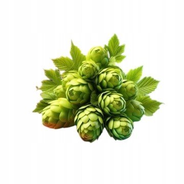 Pomoc w MENOPAUZIE 60 kap. naturalny ziołowy skład.