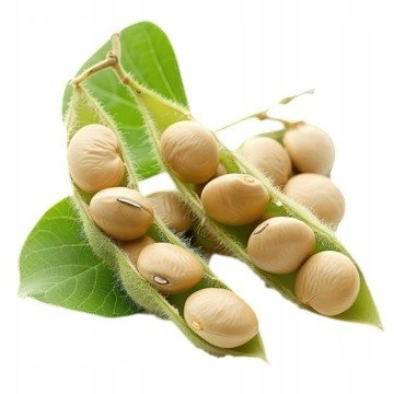 Pomoc w MENOPAUZIE 60 kap. naturalny ziołowy skład.