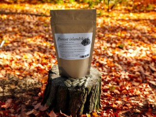 Porost islandzki 100 kap.przeciwzapalne, przeciwwirusowe i antybakteryjne