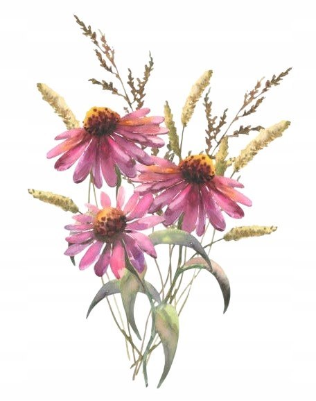 Przeziębienie i grypa 60 kapsułek na COVID oraz inne infekcji wirusowe