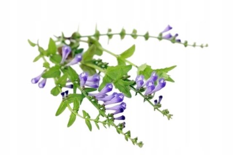 Przeziębienie i grypa 60 kapsułek na COVID oraz inne infekcji wirusowe