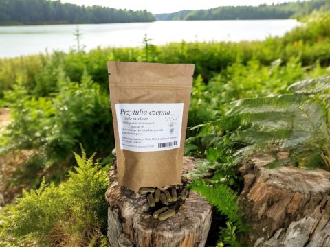 Przytulia czepna 100 kapsułek działanie przeciwmiażdźycowe i p-zakrzepowe